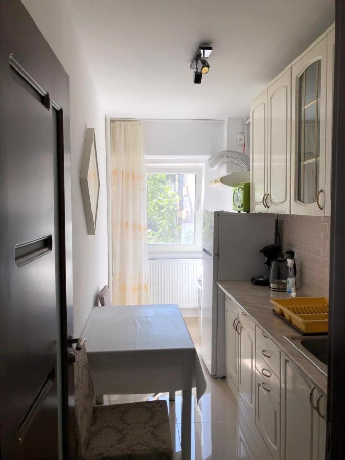 Le Garcon De Cristina-Simple,Quiet,Spacious Studio Βουκουρέστι Εξωτερικό φωτογραφία
